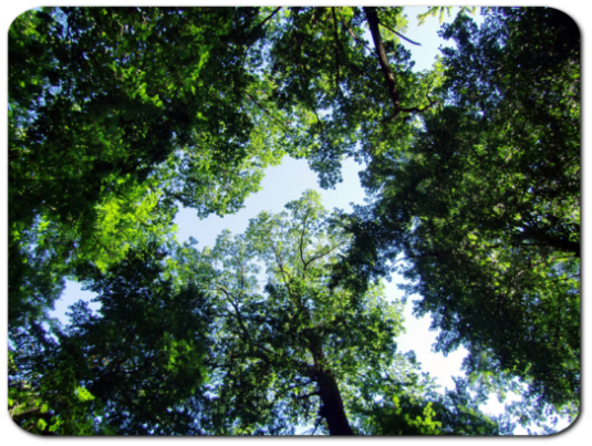 Ändere den Blickwinkel